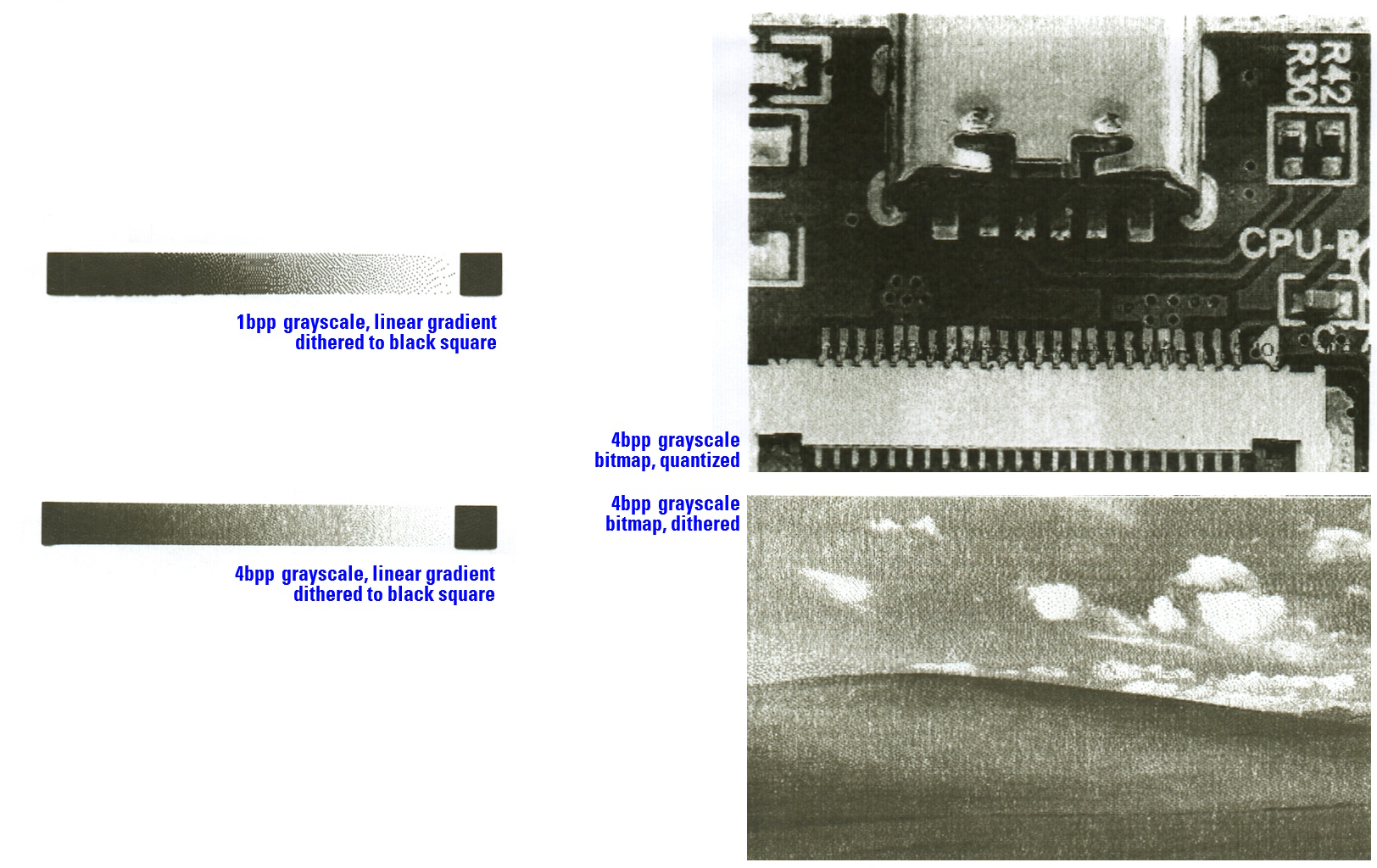 A scanned image of two gradients and two bitmaps printed on thermal paper
